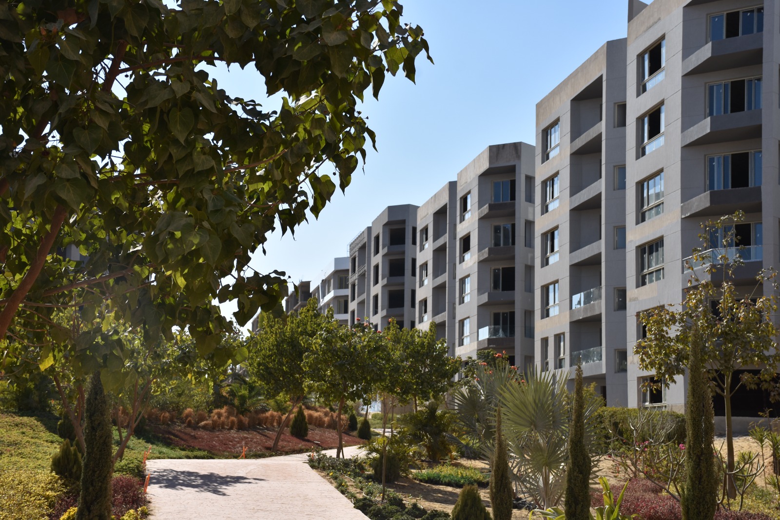 فريندز جروب